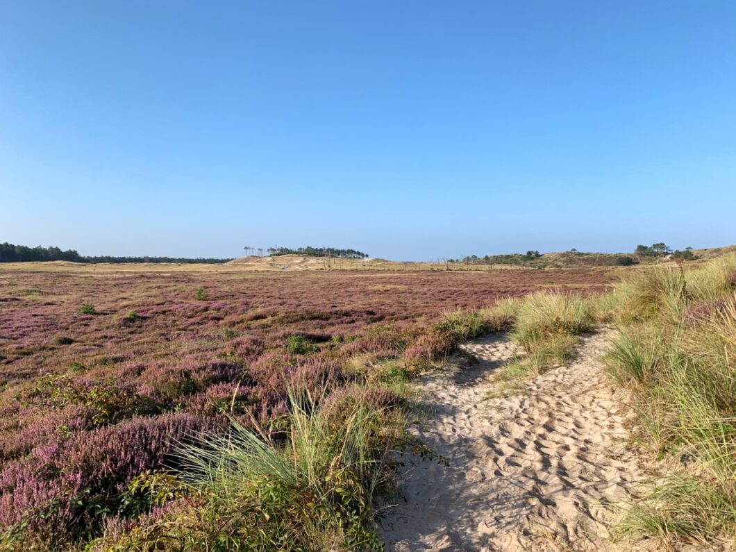 heideroute schoorlse duinen
