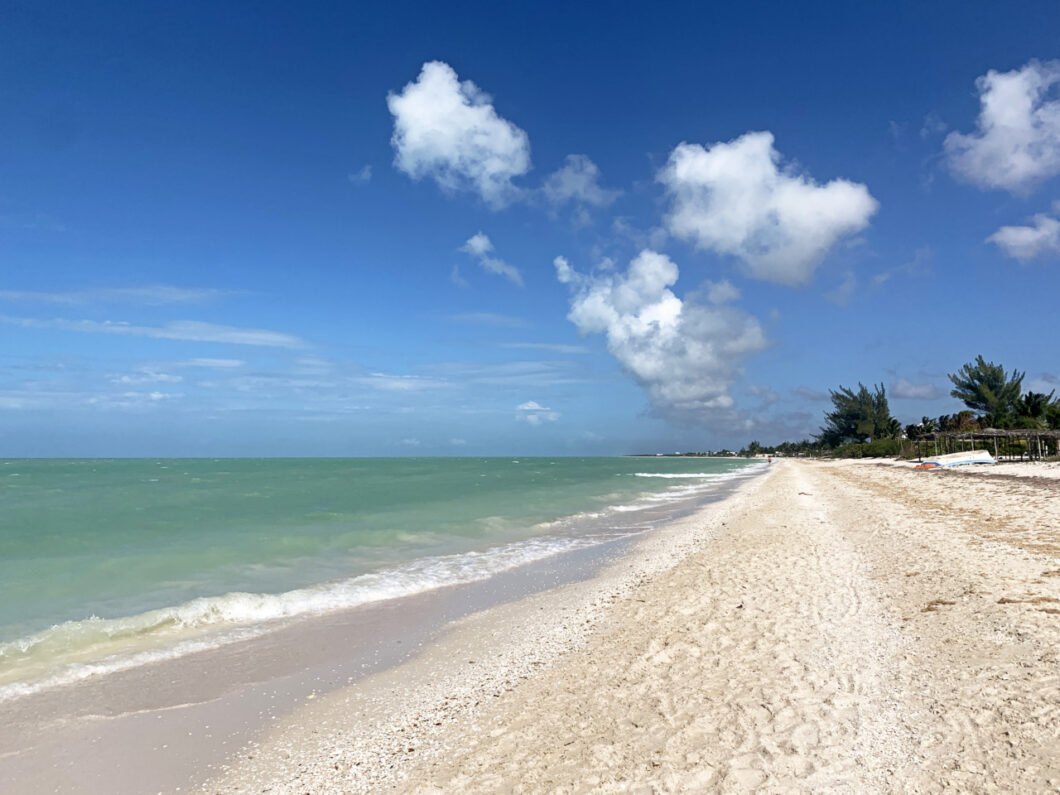 celstun yucatan rondreis