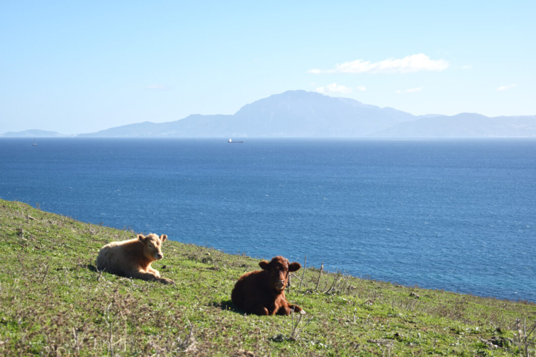 Tarifa wandelen Marokko