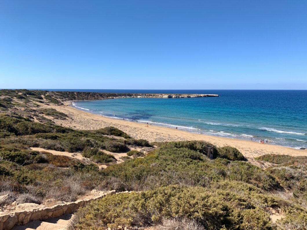turtle beach cyprus