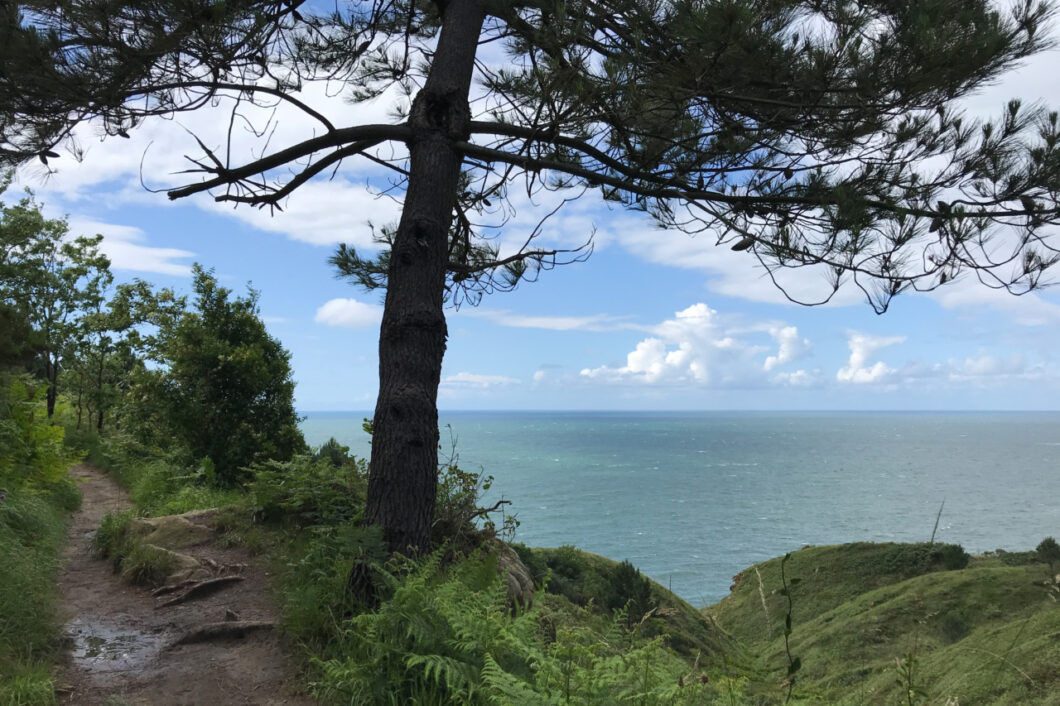 Camino del norte