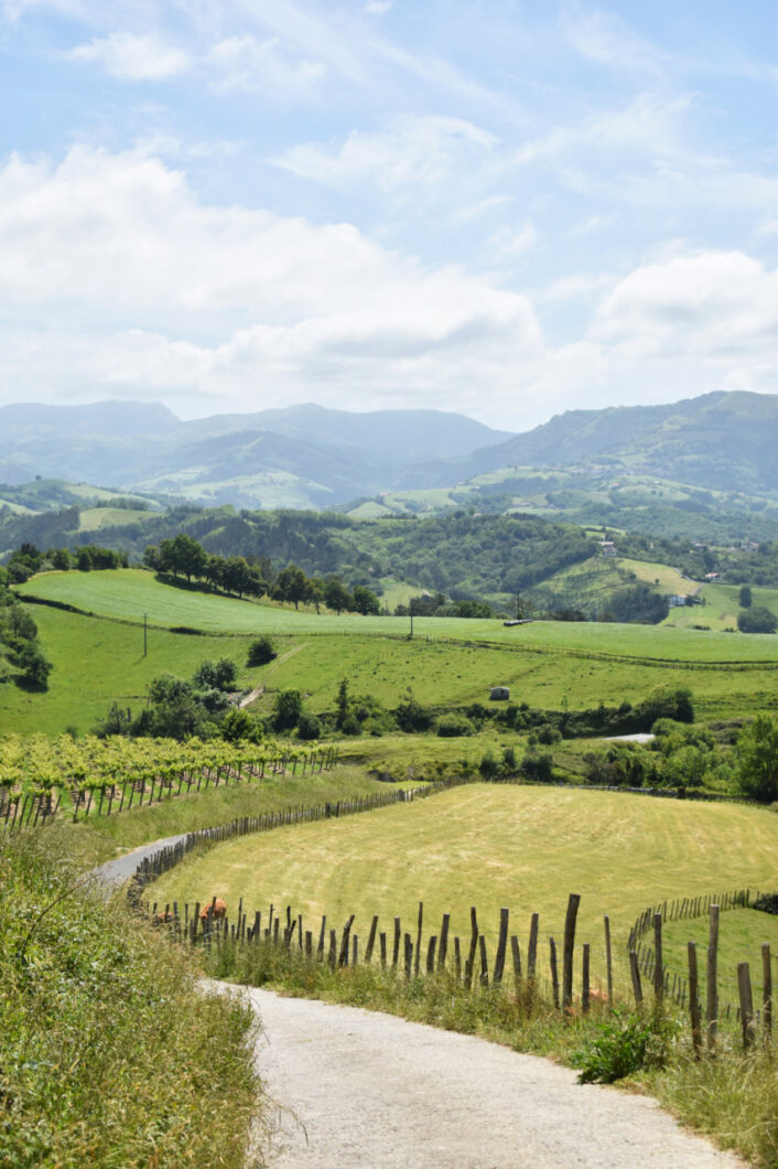 Camino del norte route