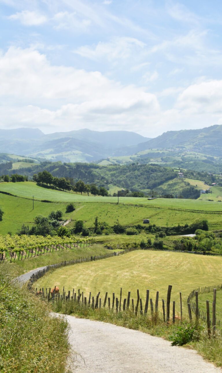 Camino del norte route