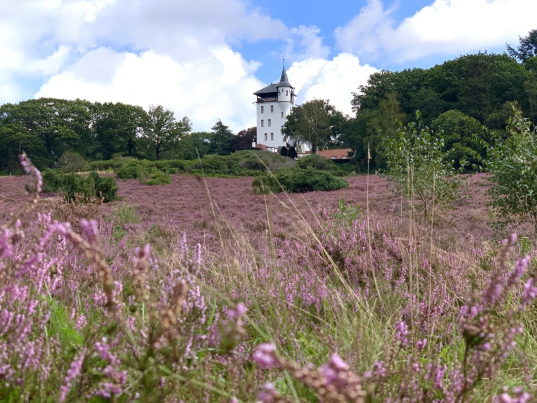nationaal park sallandse heuvelrug