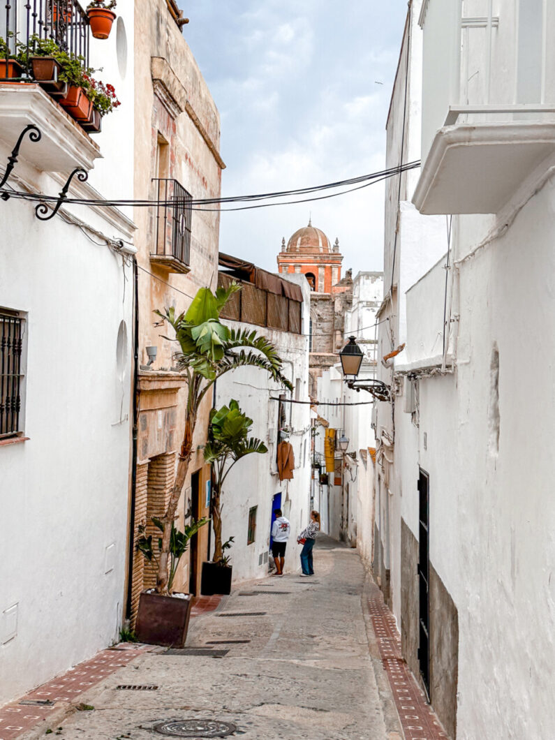tarifa spanje