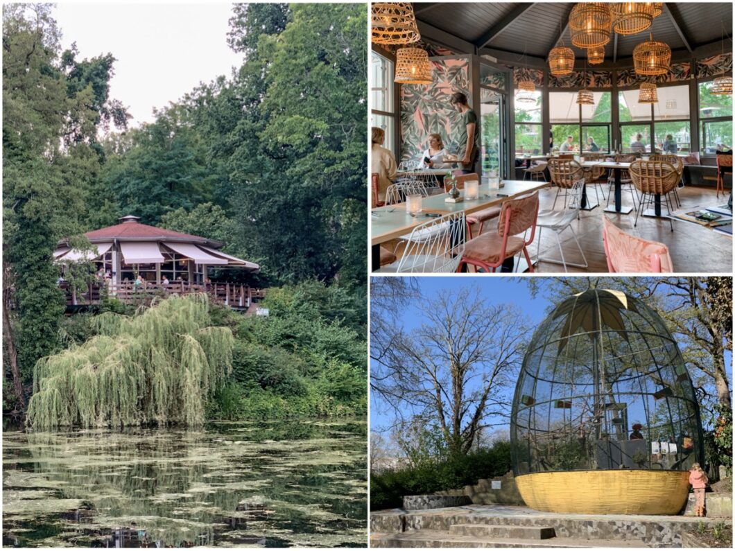 vogeleiland mees deventer