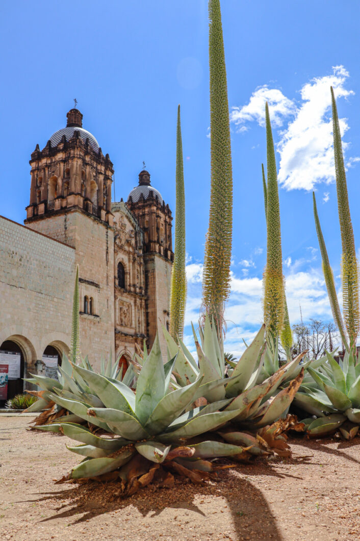 santa domingo kerk oaxaca mexico