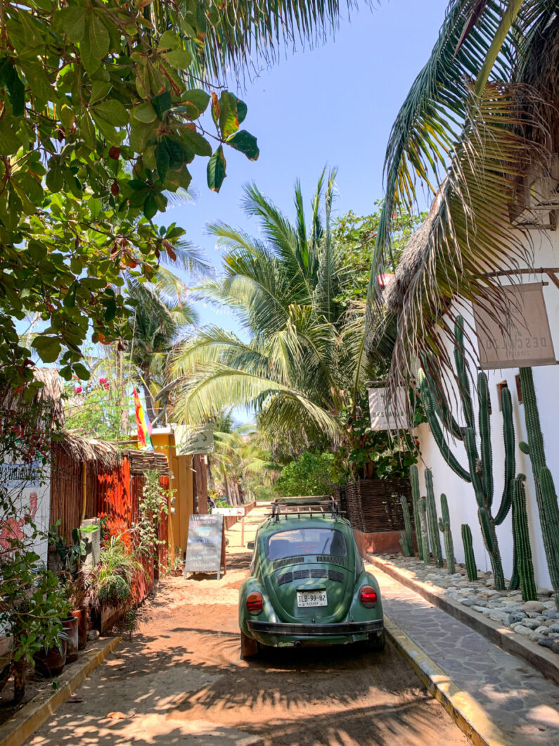 doen in zipolite mexico