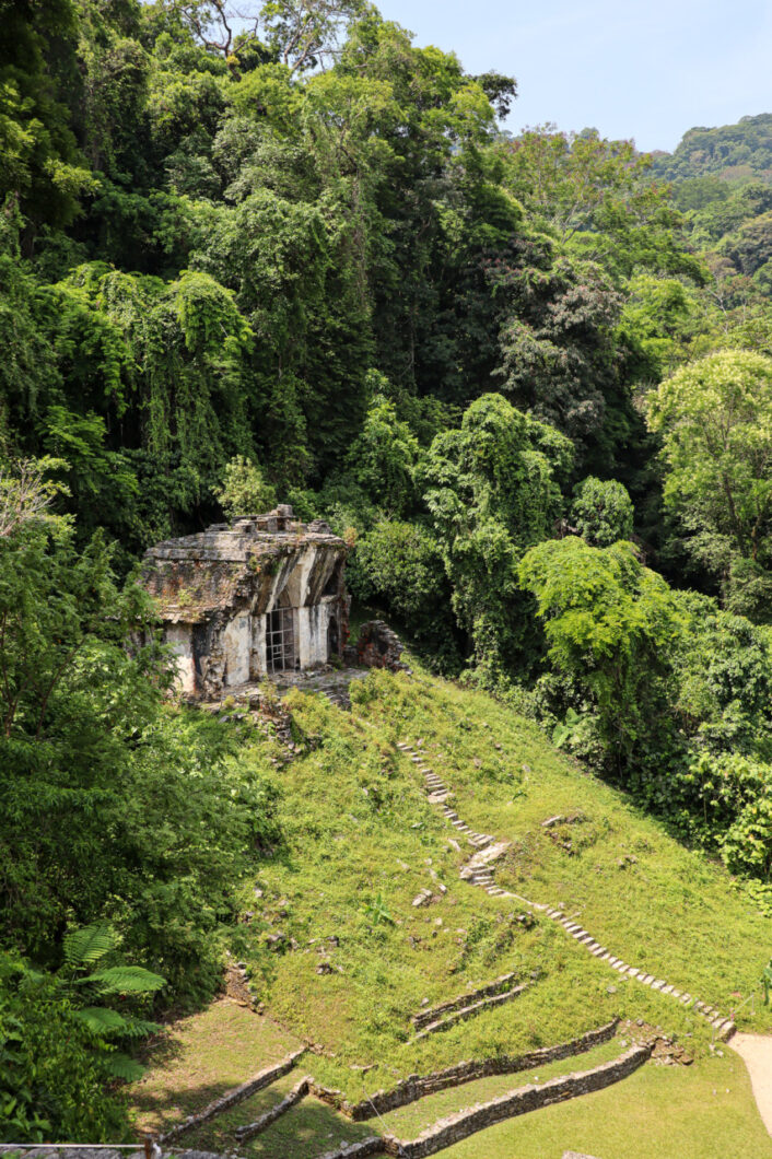palenque jungle