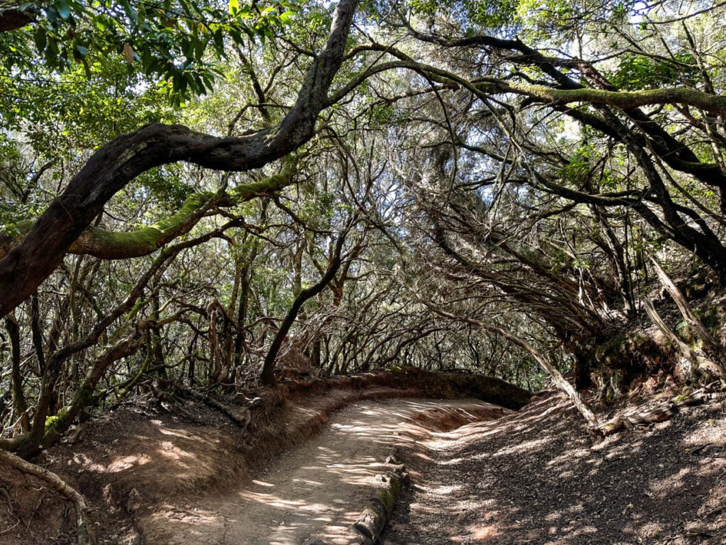 hiken tenerife anaga rural park