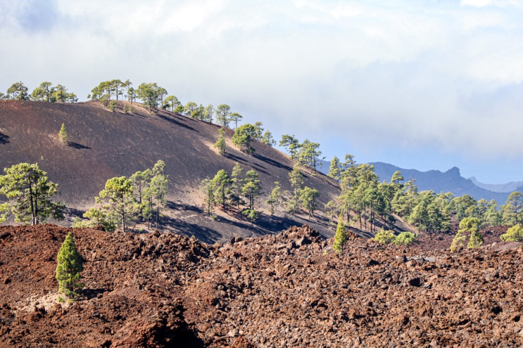 landschap el teide