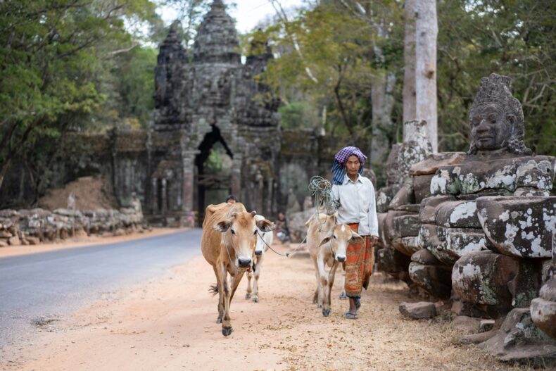 AWOL cambodja