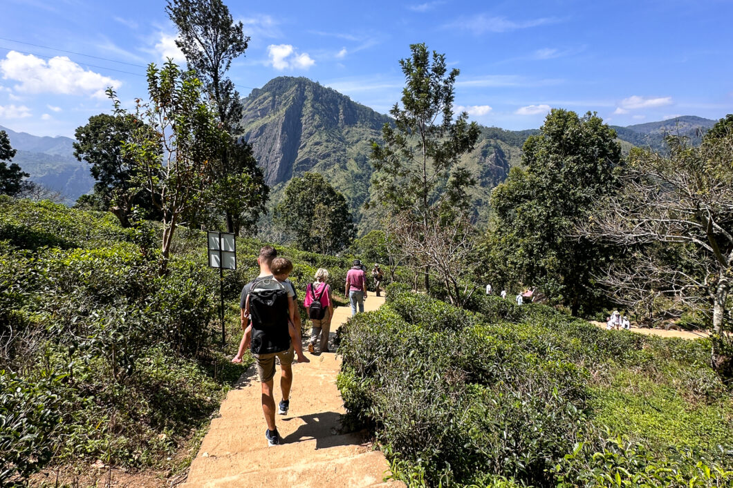 Ella hike little adams peak sri lanka