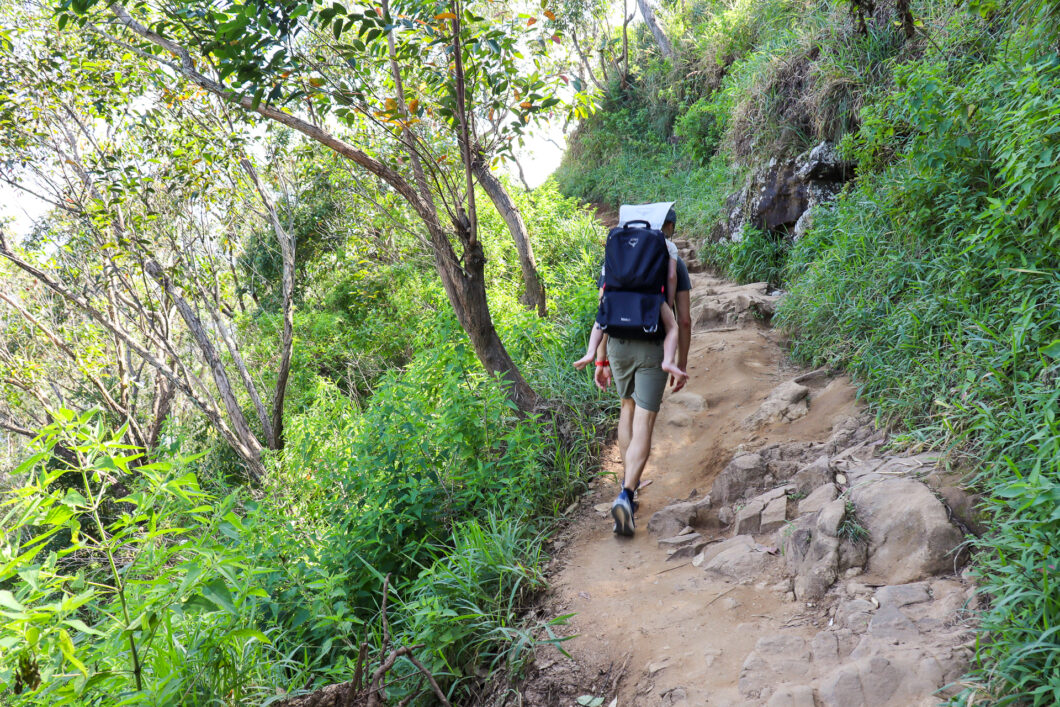 Hike Little Adams Peak Ella Sri Lanka