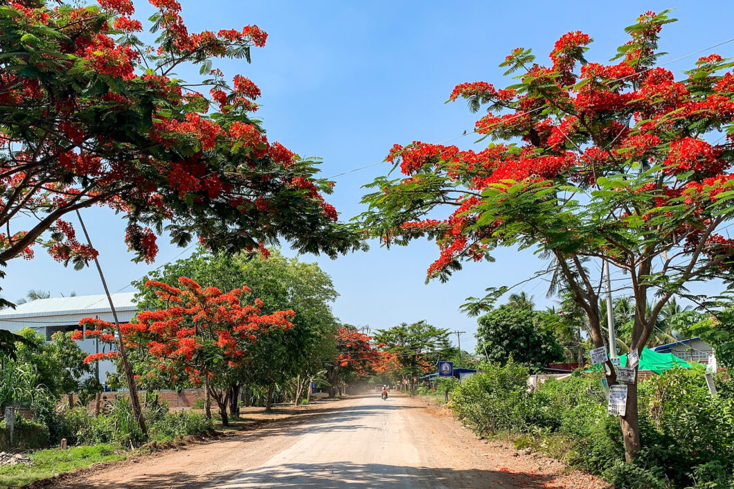 battambang cambodja