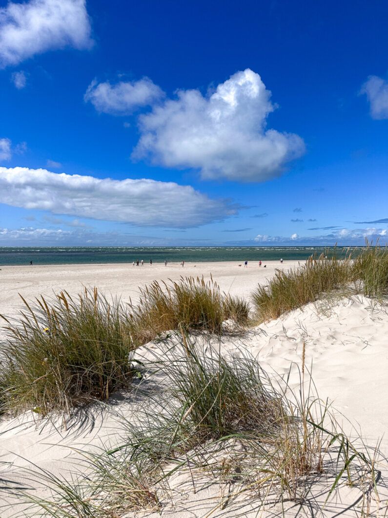 Blåvand strand denemarken