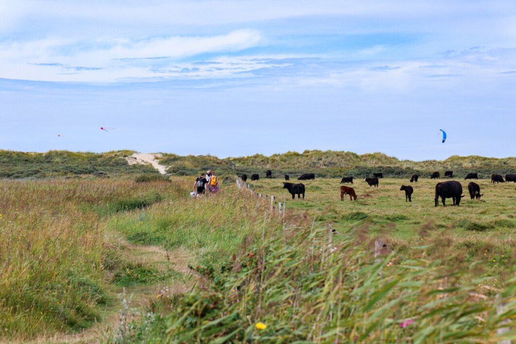 romo eiland denemarken