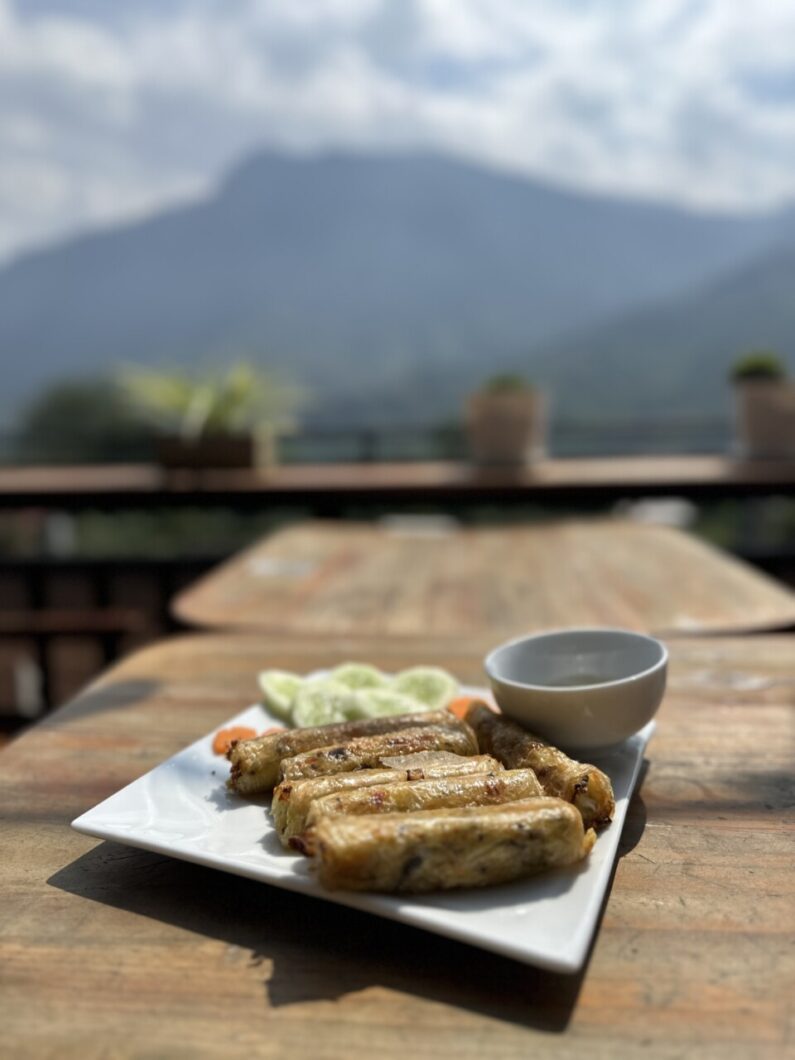 springrolls lunch vietnam