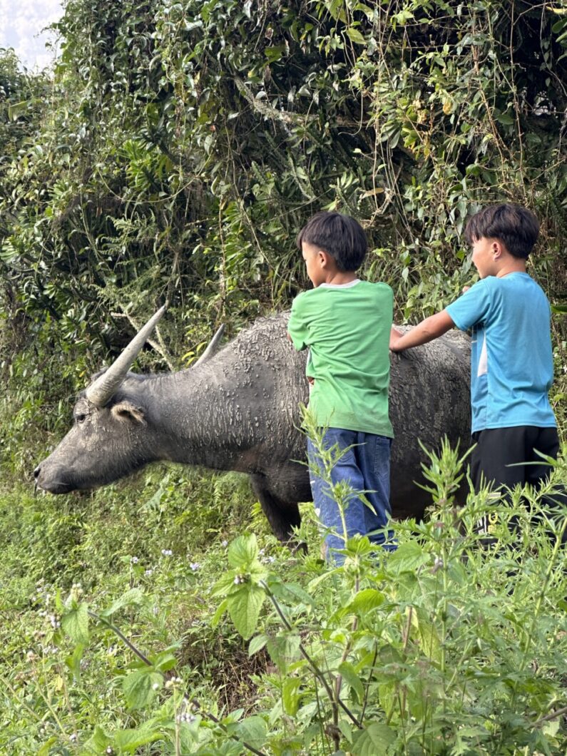 vietnam koe kinderen vietnam