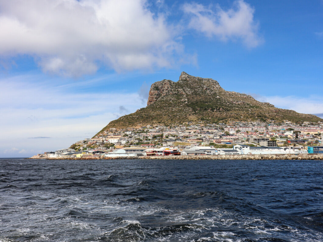 Houtbaai Duiker Island Zuid-Afrika