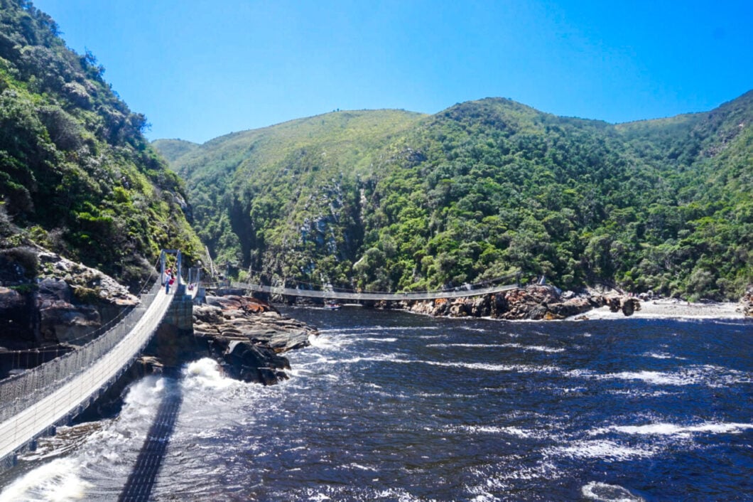 Tsitsikamma National Park Zuid-Afrika