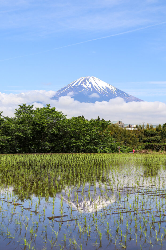 mount fuji, japan