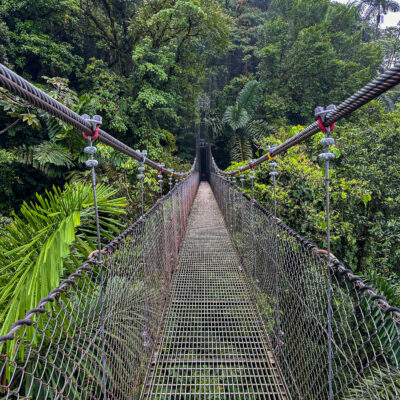 Hanging-bridge-costa-rica-mistico-park