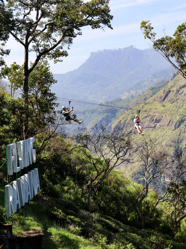 Zipline Ella