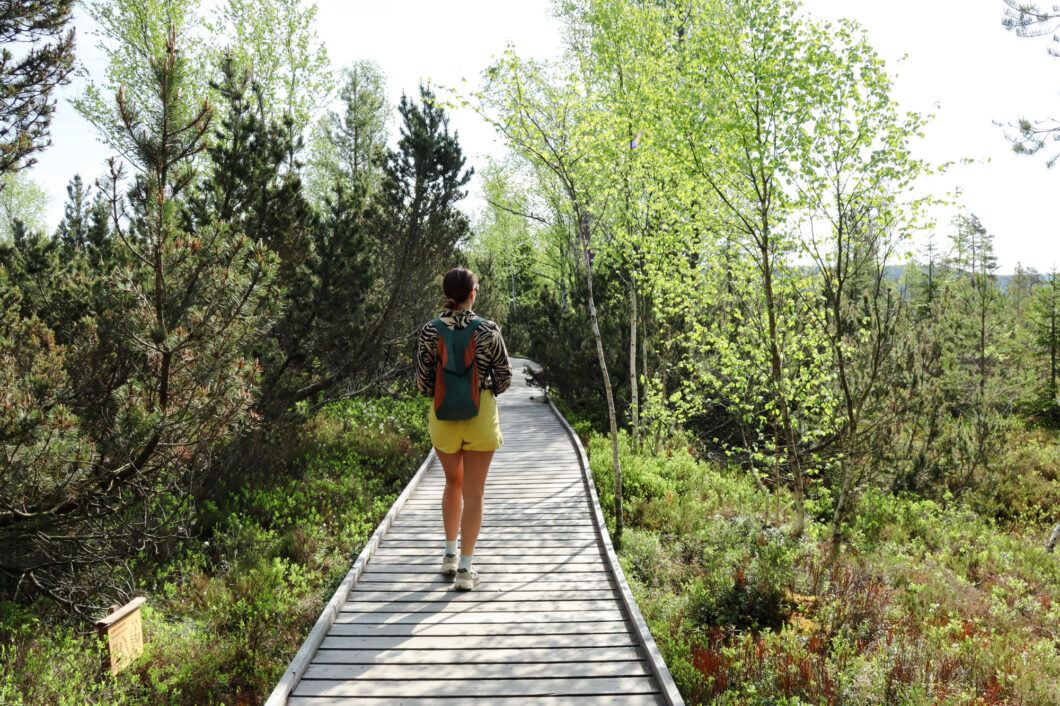 wandeling Chalupská slať