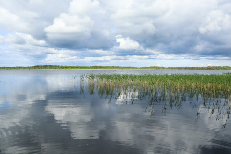 Saimaameer, zuid-finland