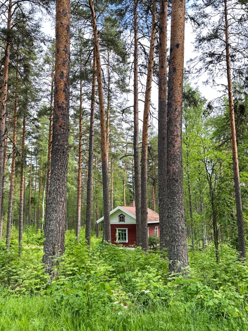 midzomer finland