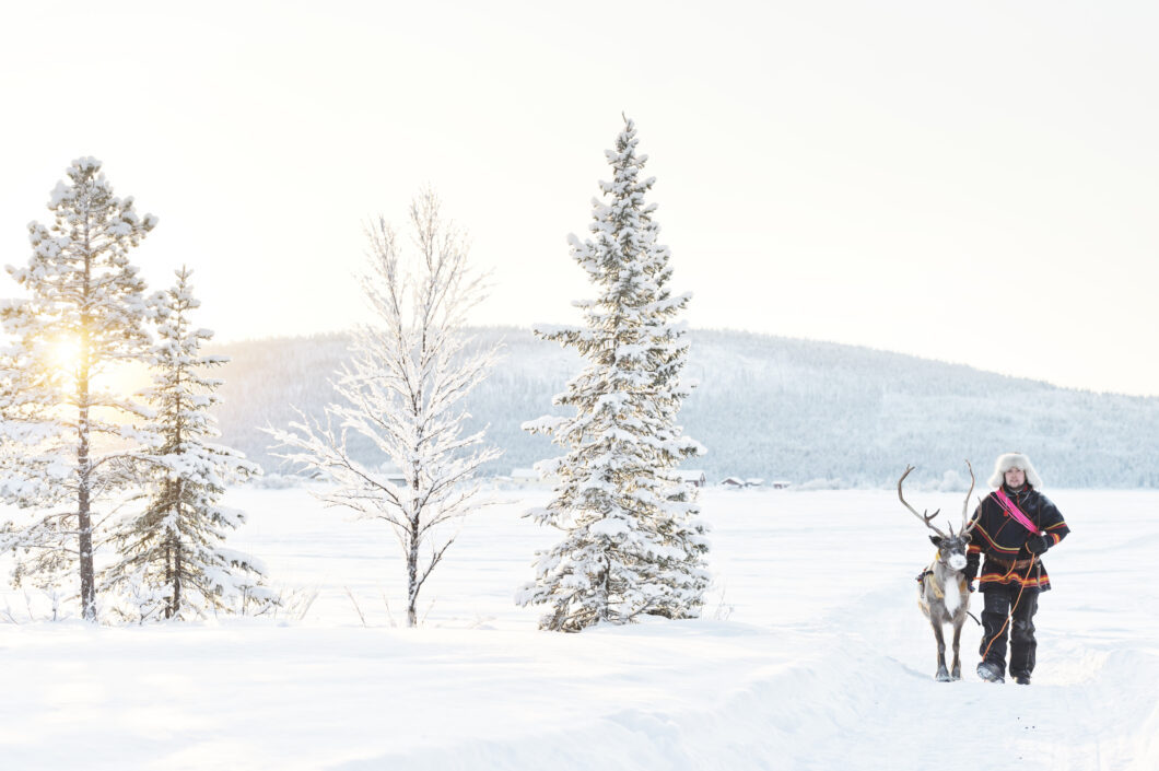 Abisko national park. lapland