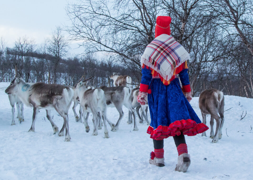 Nuorgam, fins lapland rendieren