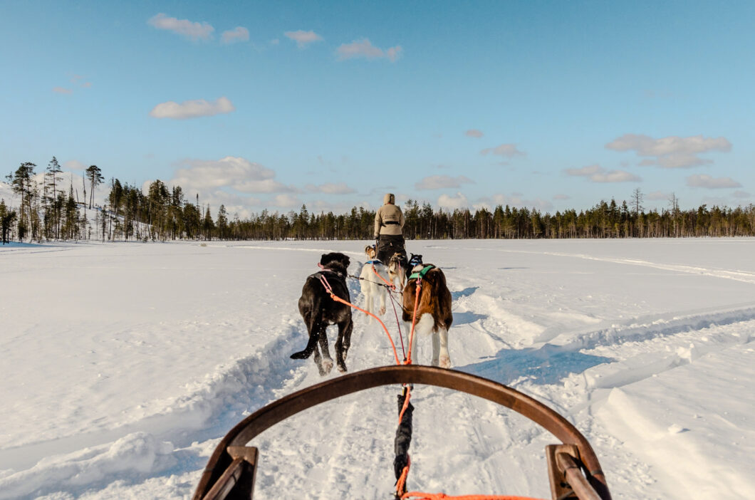 huskytocht suomu, lapland