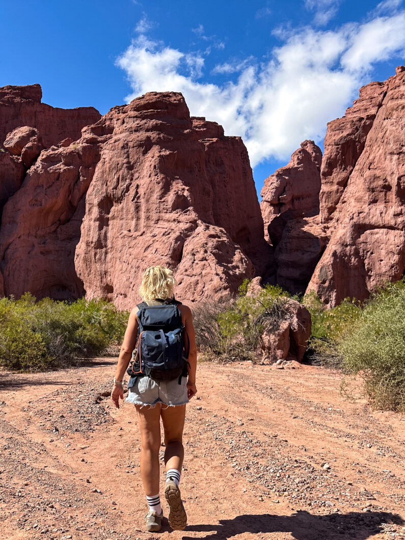 quebrada de las conchas, salta argentinie