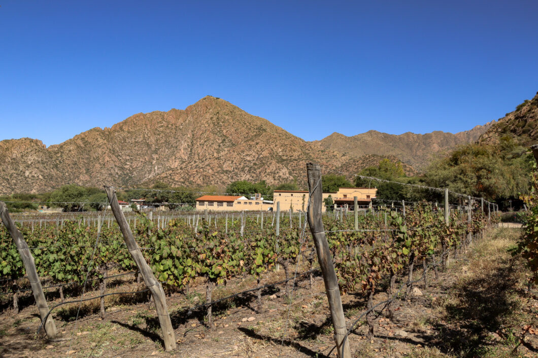 wijnregio cafayate, argentinie