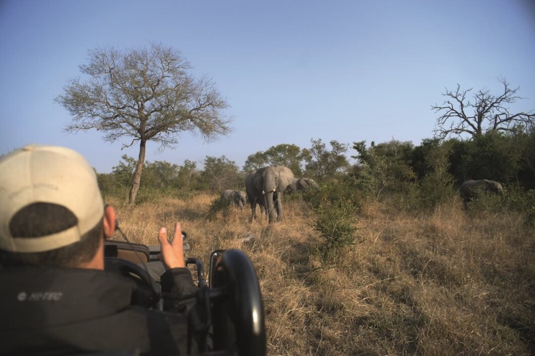 Kruger National Park Zuid-Afrika