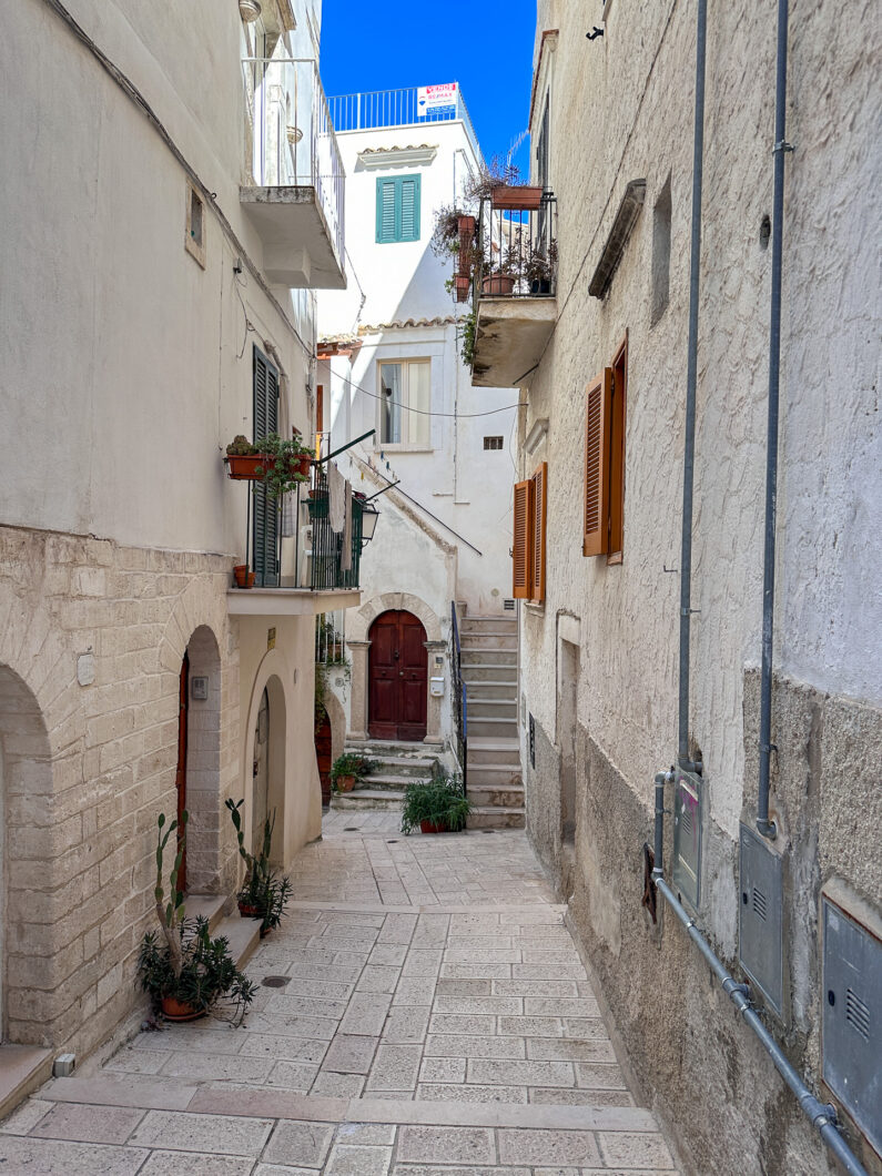 Straatje Vieste Italie