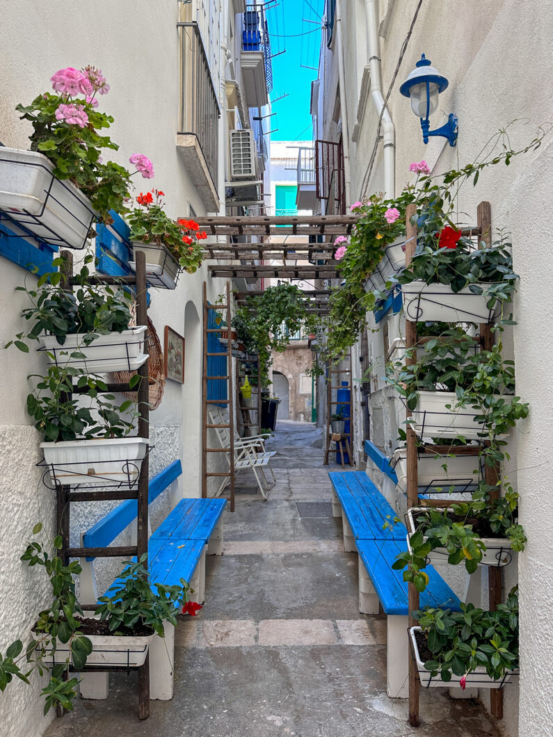 Straatje bloemen Vieste Italie