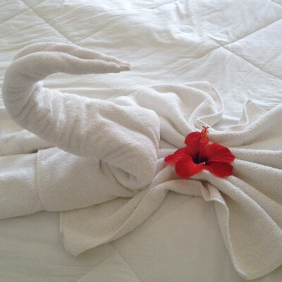 hotelbed, handdoek zwaan