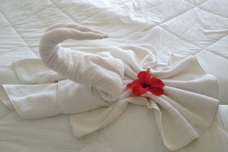 hotelbed, handdoek zwaan