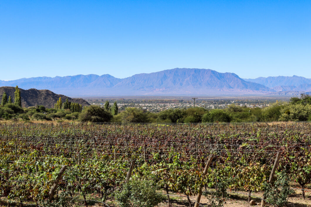 Cafayate, bodega las nubes