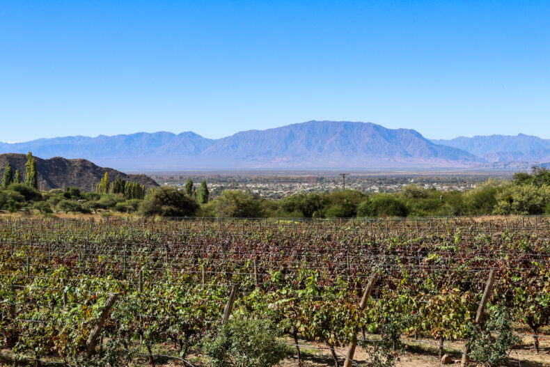 Cafayate, bodega las nubes