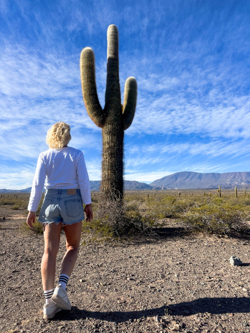 National park los cordones, cachi
