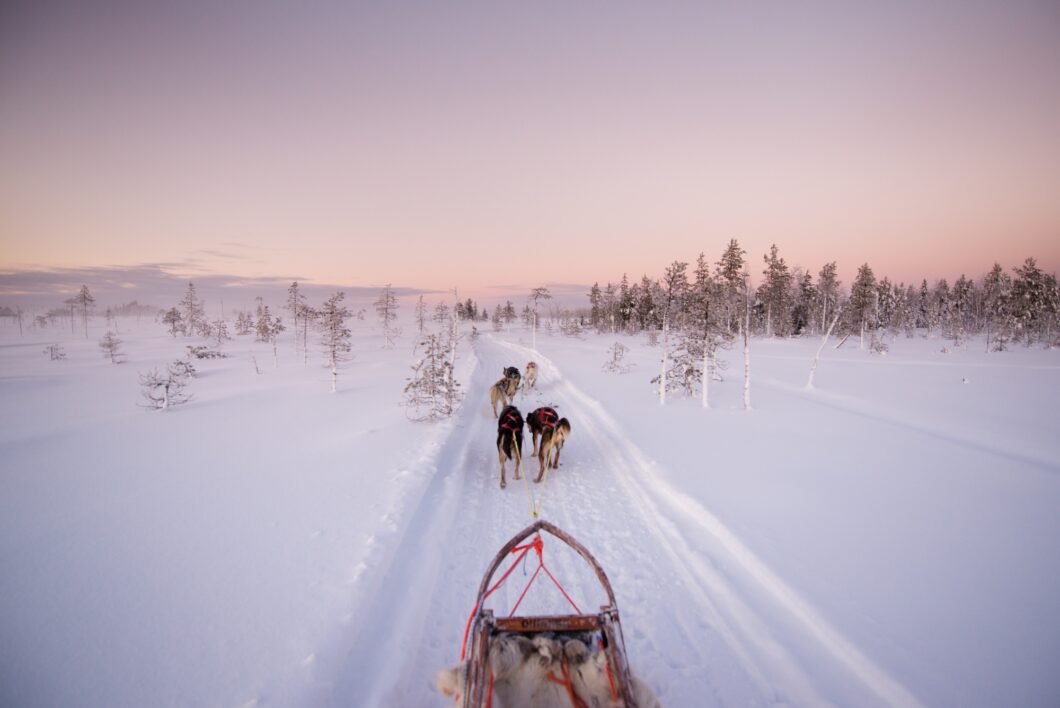 Yllas polar night huskytocht