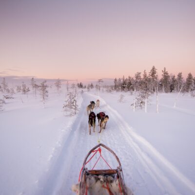 Yllas polar night huskytocht