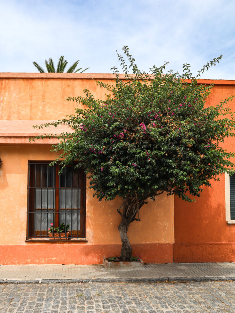 uruguay, colonia del sacramento