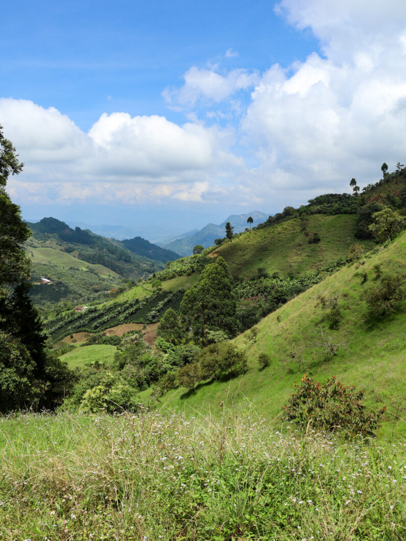 Cascada churro blanco hike, jardin