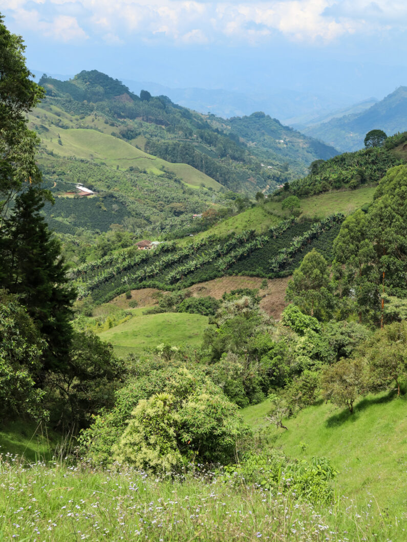 jardin, wandelroute chorro blanco