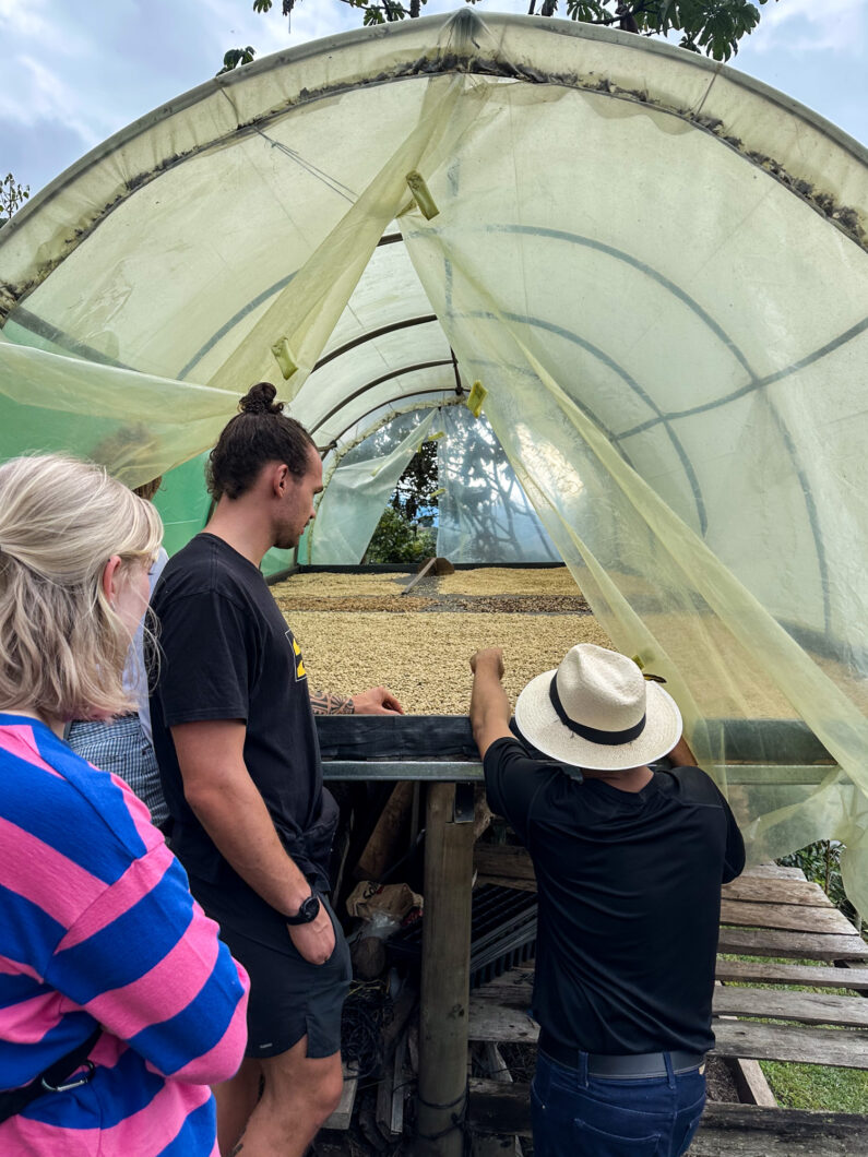 koffietour jardin colombia